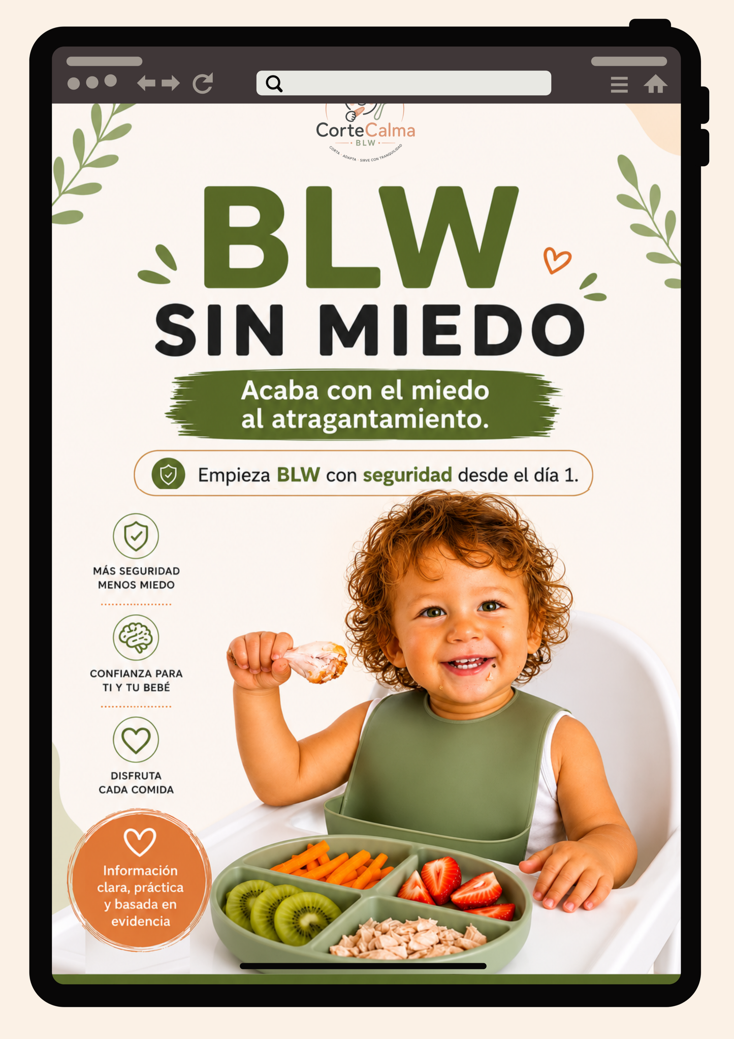 eBook BLW Sin Miedo: La Guía Visual Definitiva